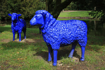 Die blauen Schafe bei Schloss Neersen