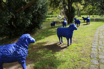 Die blauen Schafe bei Schloss Neersen