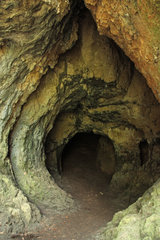 Die Buchenloch-Höhle im Naturschutzgebiet Gerolsteiner Dolomiten