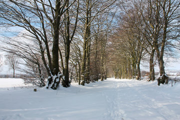 Die Kalferscheider Gasse bei Simmerath im Winter