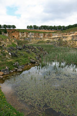 Die Mergelgrube ´t Rooth in Südlimburg