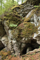 Eingestürzte  Mühlsteinhöhlen am "Rother Kopf"
