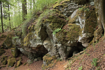 Eingestürzte Mühlsteinhöhlen am "Rother Kopf"