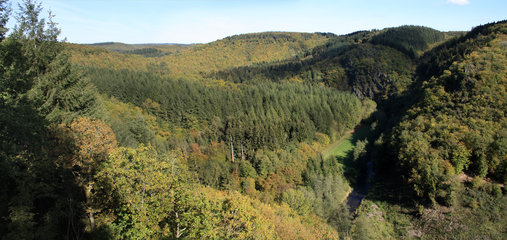 Einsames Tal, weite Wälder: das Liesertal, Blick vom Burgberg