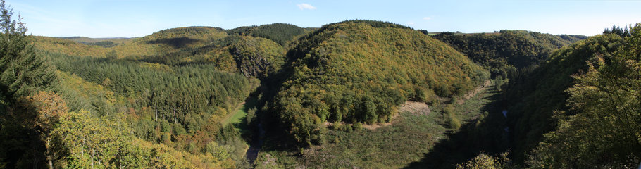 Einsames Tal, weite Wälder: das Liesertal, Blick vom Burgberg