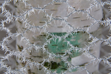 Eiskristalle an einem Maschendrahtzaun, Weißer Weg bei Herzogenrath