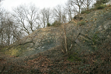Felsen im südlichen Wurmtal bei Würselen - Scherberg