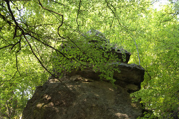 Felsen in der Nähe der Buchenloch-Höhle im Naturschutzgebiet Gerolsteiner Dolomiten