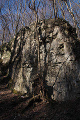 Felswand im Göhltal am Emmaburger Weg, zwischen Hergenrath und Kelmis