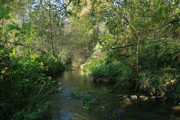 Flussaue im NSG Broichbachtal 