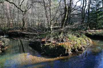 Flussschlinge der Inde im Münsterwald, Nordeifel
