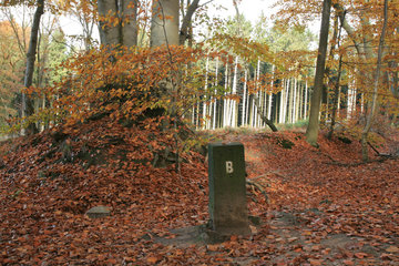 Grenzstein 955 bei der Grenzroute 1 im Aachener Wald
