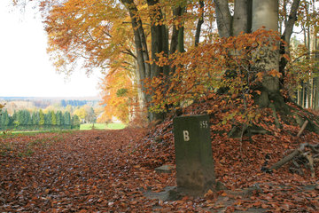 Grenzstein 955 bei der Grenzroute 1 im Aachener Wald