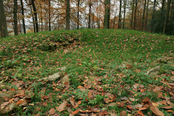 Hügelgrab im Vijlenerbos