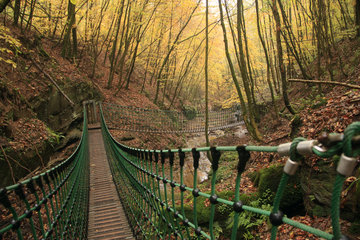 Hängebrücke im Butzerbachtal, Südeifel