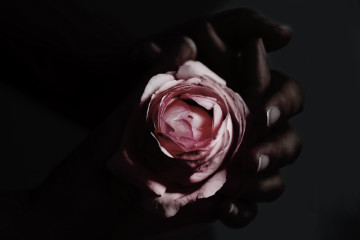 Hand mit Rose