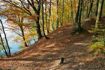 Herbst am Cranenweyer