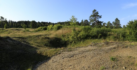 Im Naturschutzgebiet Schlangenberg, zwischen Breinig und Vicht