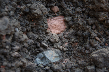 In einem Steinbruch auf dem erloschenen Wolfsbeuel-Vulkan, Detail