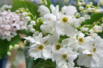 Kleiner Blumenstrauß, Mai 