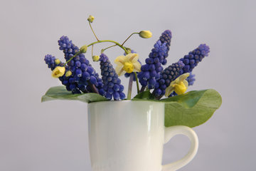 Kleiner Blumenstrauß mit Traubenhyazinthen und Elfenblume