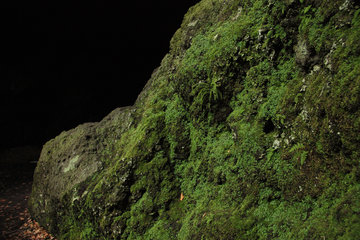 Mühhlsteinhöhle auf dem Nerother Kopf, Vulkaneifel