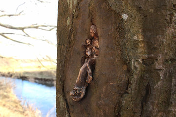 Maria mit Kind im Baum