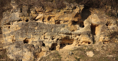 Mergelfelsen im Schutzgebiet Genhoes am Rand des Geultals