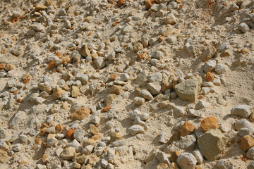 Mergelsteine in der Mergelgrube ´t Rooth in Südlimburg