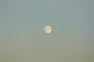 Mond