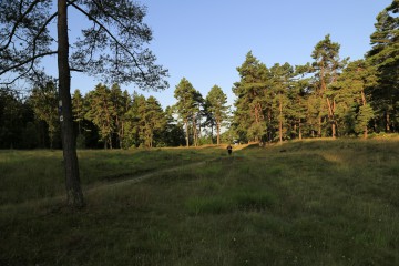 Morgenstimmung im Naturschutzgebiet Schlangenberg, zwischen Breinig und Vicht