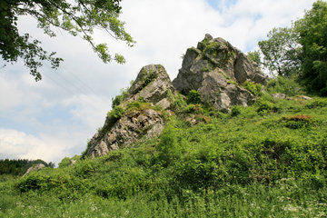 Naturschutzgebiet Mönchsfelsen bei Hahn, Walheim