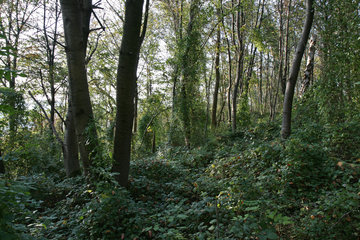 Naturschutzgebiet Schneeberg
