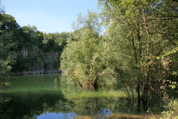 Naturschutzgebiet Schomet, Breinig