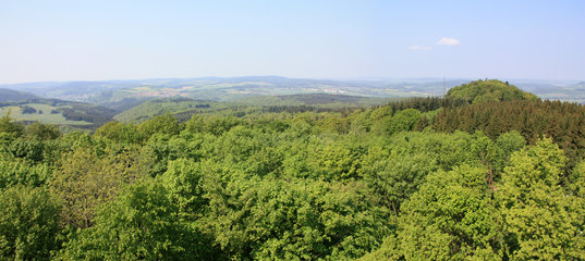 Panoramablick vom Aussichtsturm der Dietzenley 