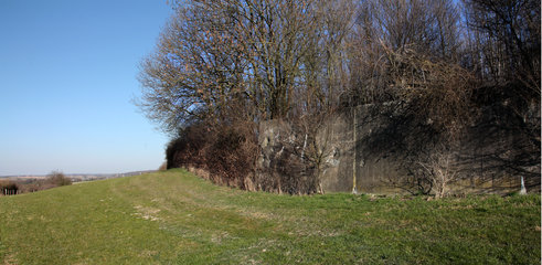 Panzermauer des Westwalls, Schneeberg 