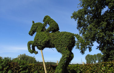 Pferd mit Reiter iin einer Gärtnerei, Soers bei Aachen