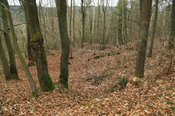 Pingen - ein Bodendenkmal in der Nähe von Kall und Golbach