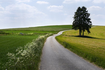 Rad- und Wanderweg südlich von Burg-Reuland