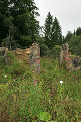 Reinartzhof - Ruinen mitten im Venn