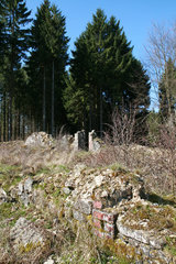 Ruine des Reinartzhofs im Osthertogenwald