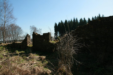 Ruine des Reinartzhofs im Osthertogenwald