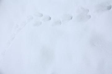 Schnee, Belichtungskorrektur: 3 Stufen +,  f 6,3 und 1/80s