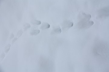 Schnee, Korrektur, 2 Stufen heller, f 7,1 und 1/100s