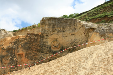 Skulptur eines Ammoniten in der Mergelgrube ´t Rooth in Südlimburg
