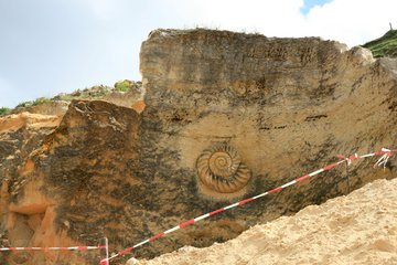 Skulptur eines Ammoniten in der Mergelgrube ´t Rooth in Südlimburg