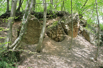 Steinbruch bei Walheim