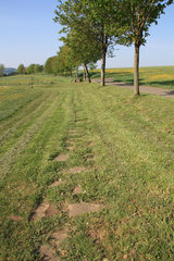 Steine und Gras auf dem Hillesheimer Barfußpfad im Bolsdorfer Tälchen