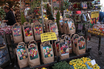 Tulpenzwiebeln auf dem Blumenmarkt von Amsterdam