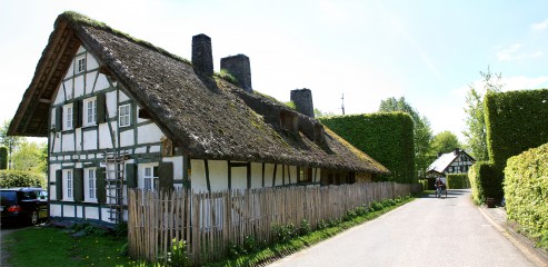 Venn-Bauernhaus mit Rietdach in der Weiherstraße 16, Höfen